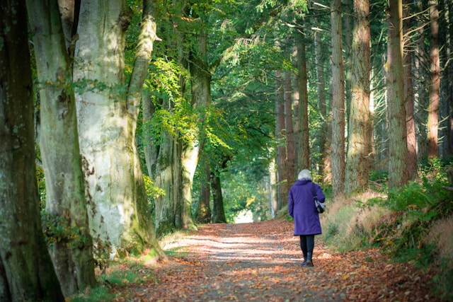 Polkalresta registrace